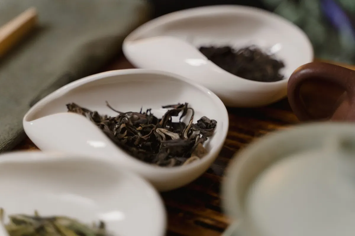 Tea Tasting at Home: How to Compare Teas from Different Regions